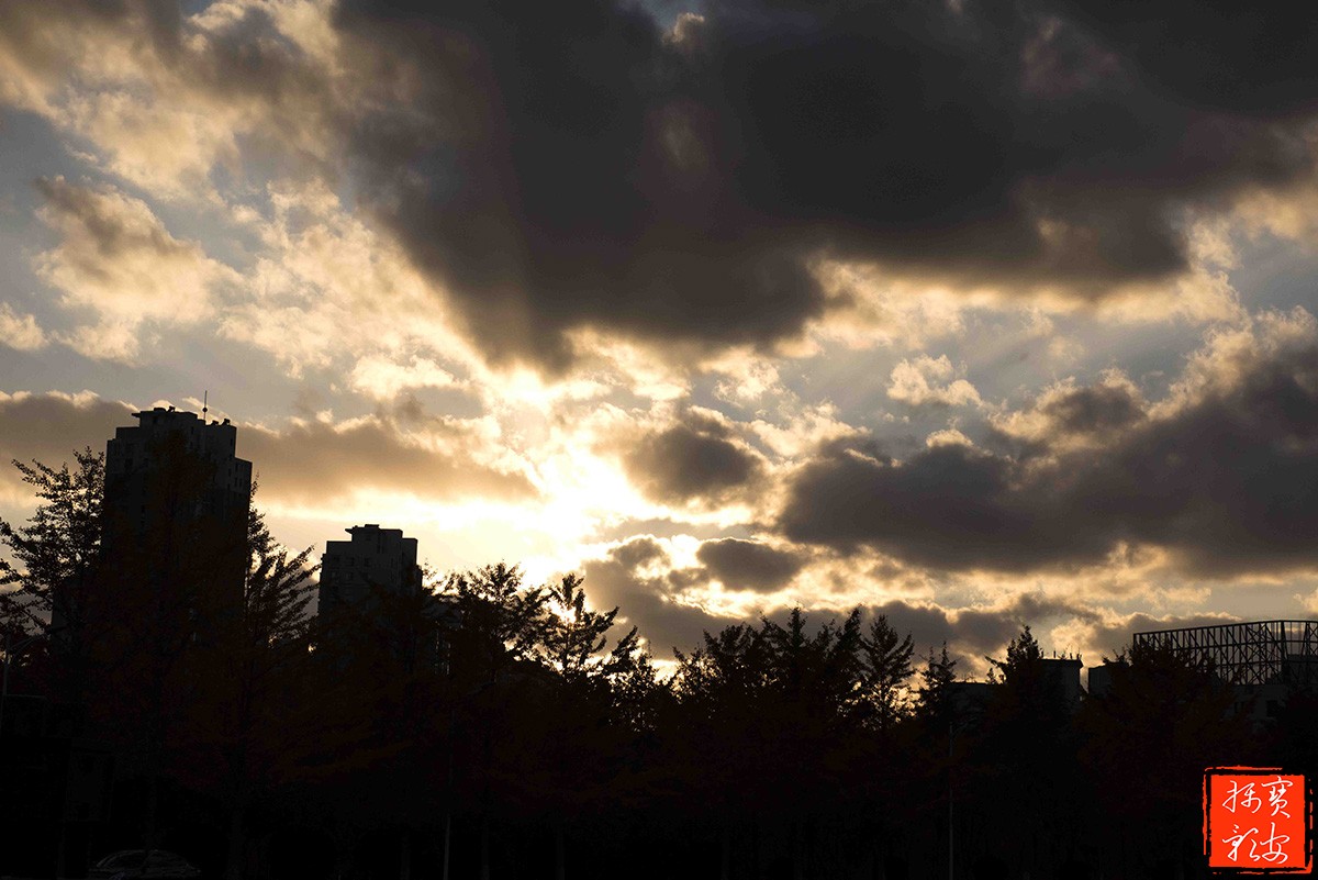 dsc709-2.jpg
