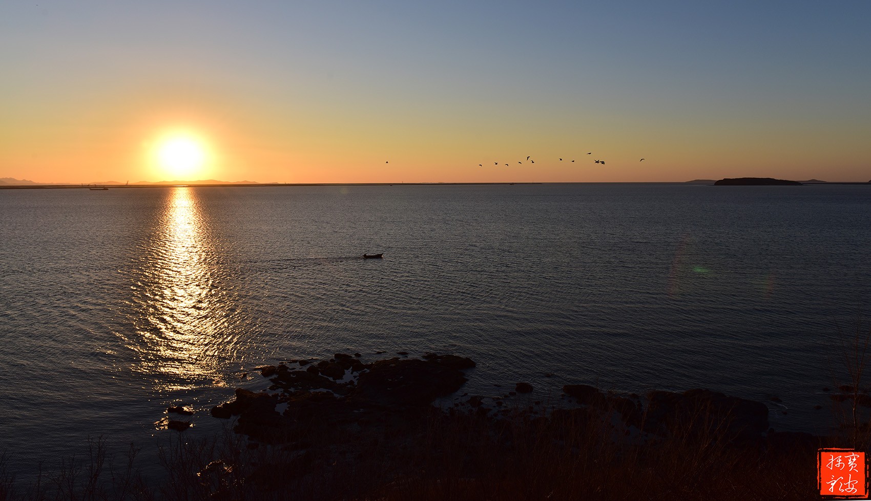 DSC_1049-1.jpg