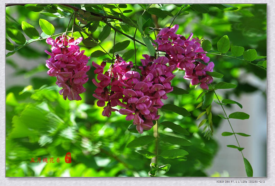 DSC_0839.jpg