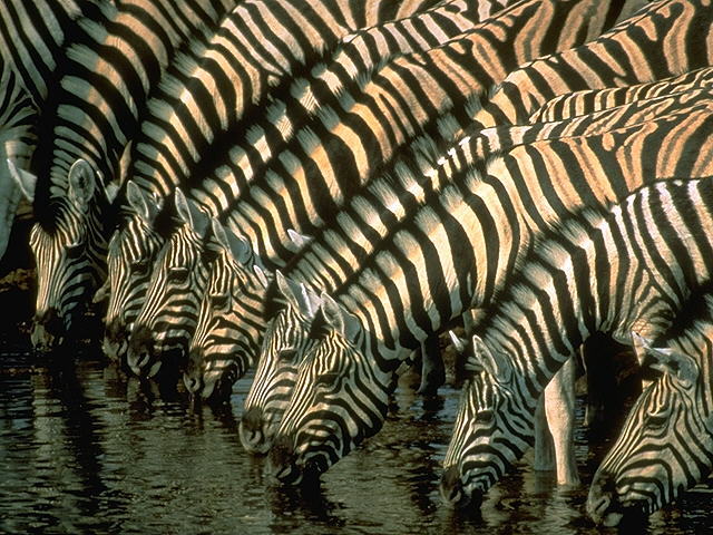 30939_795026_263083.jpg