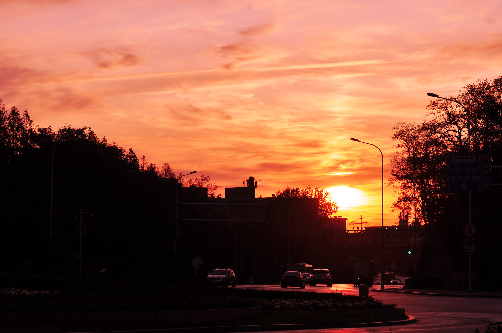 DSC_1107.jpg
