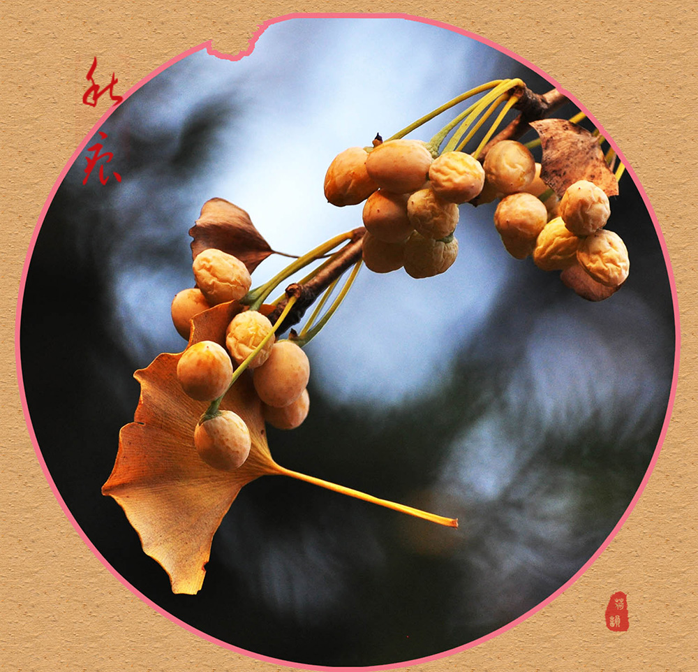 ���ӹ���