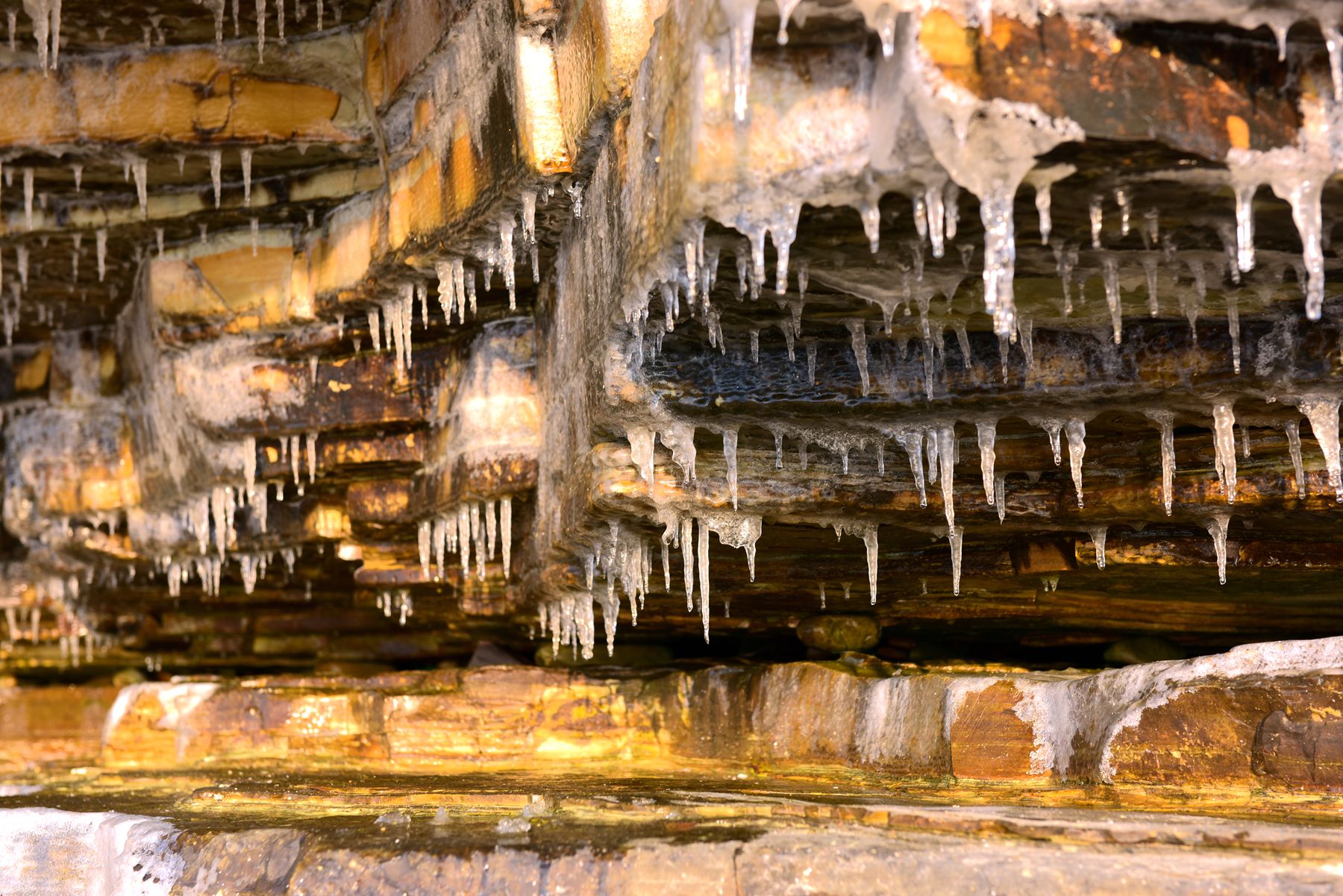 DSC_1627_.jpg