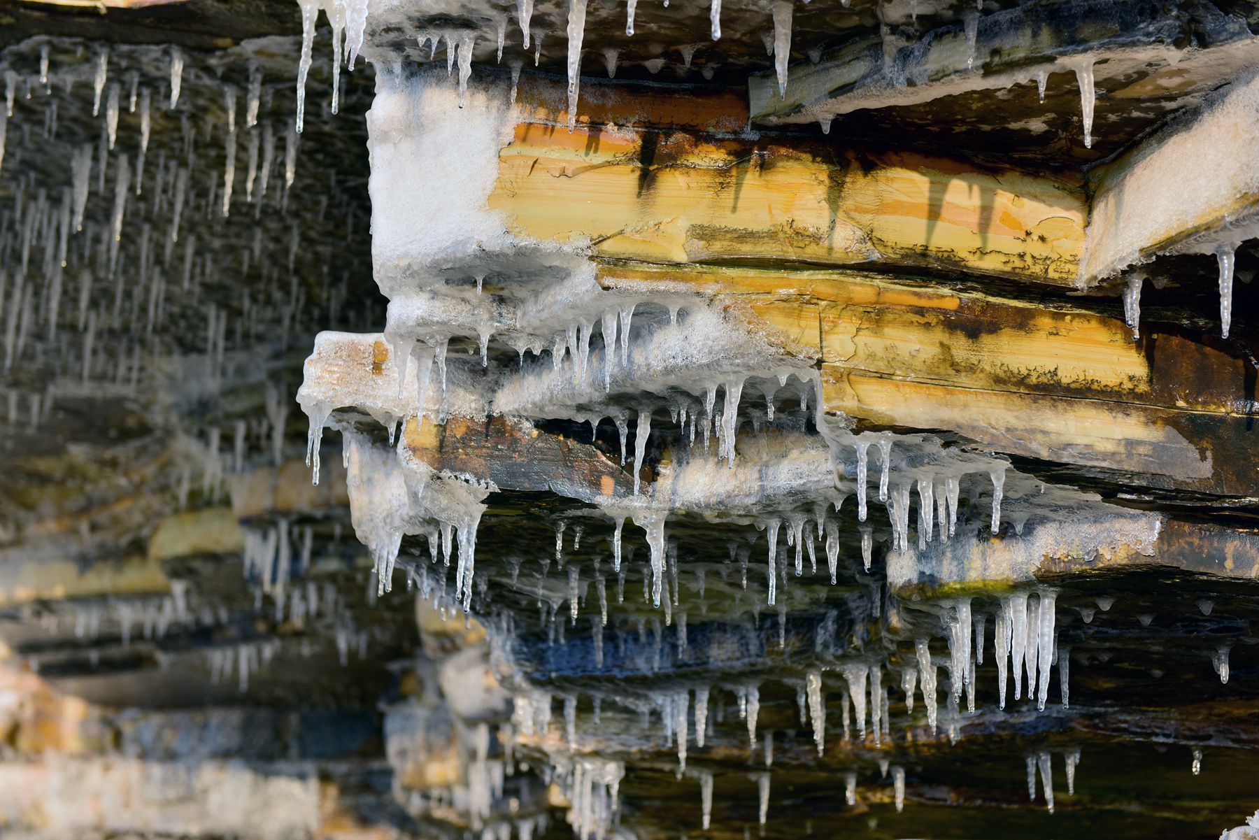 DSC_1630_.jpg