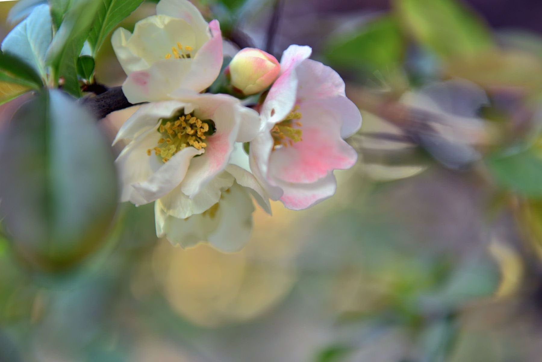 DSC_2321 ����.jpg