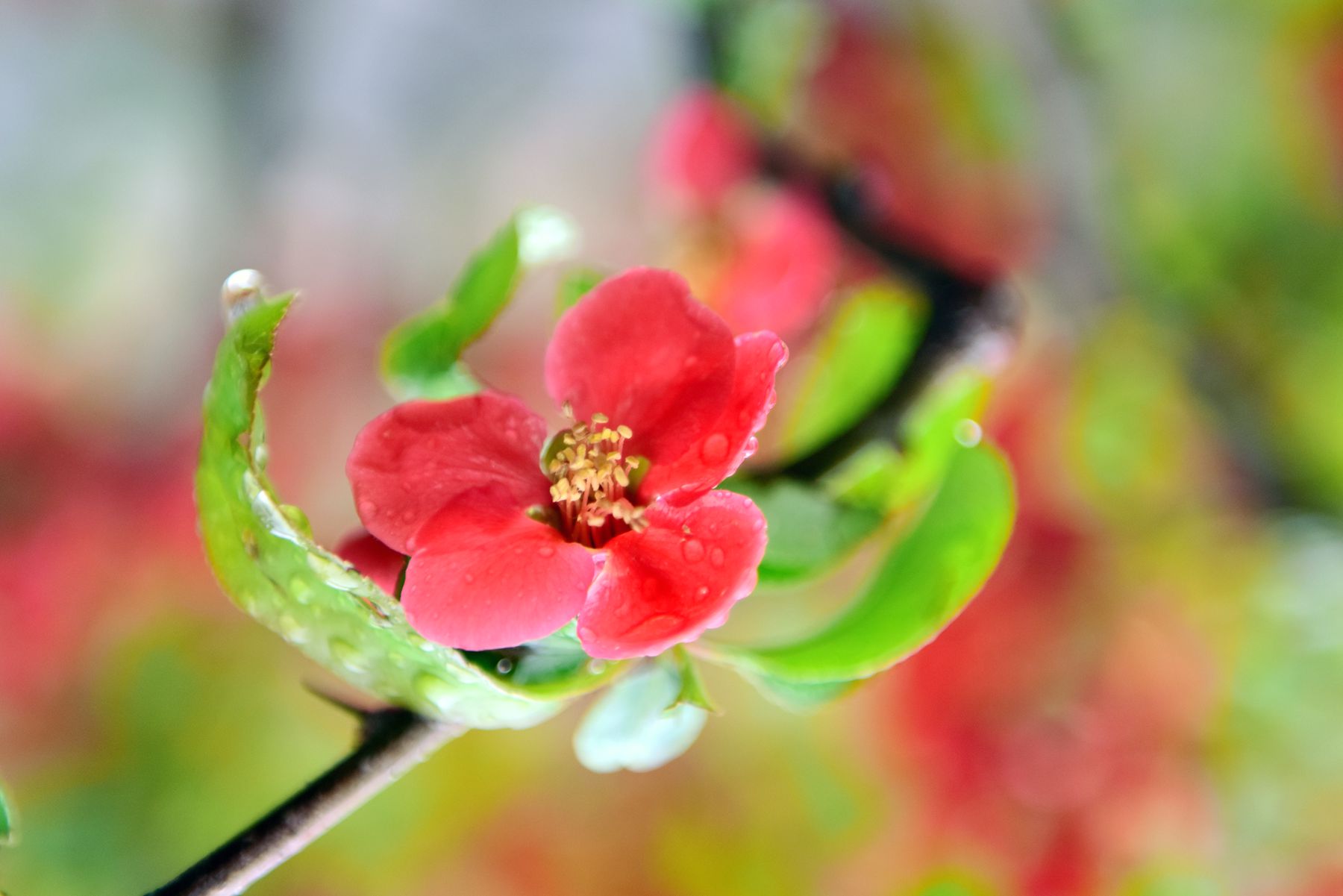 DSC_1626 _����.jpg