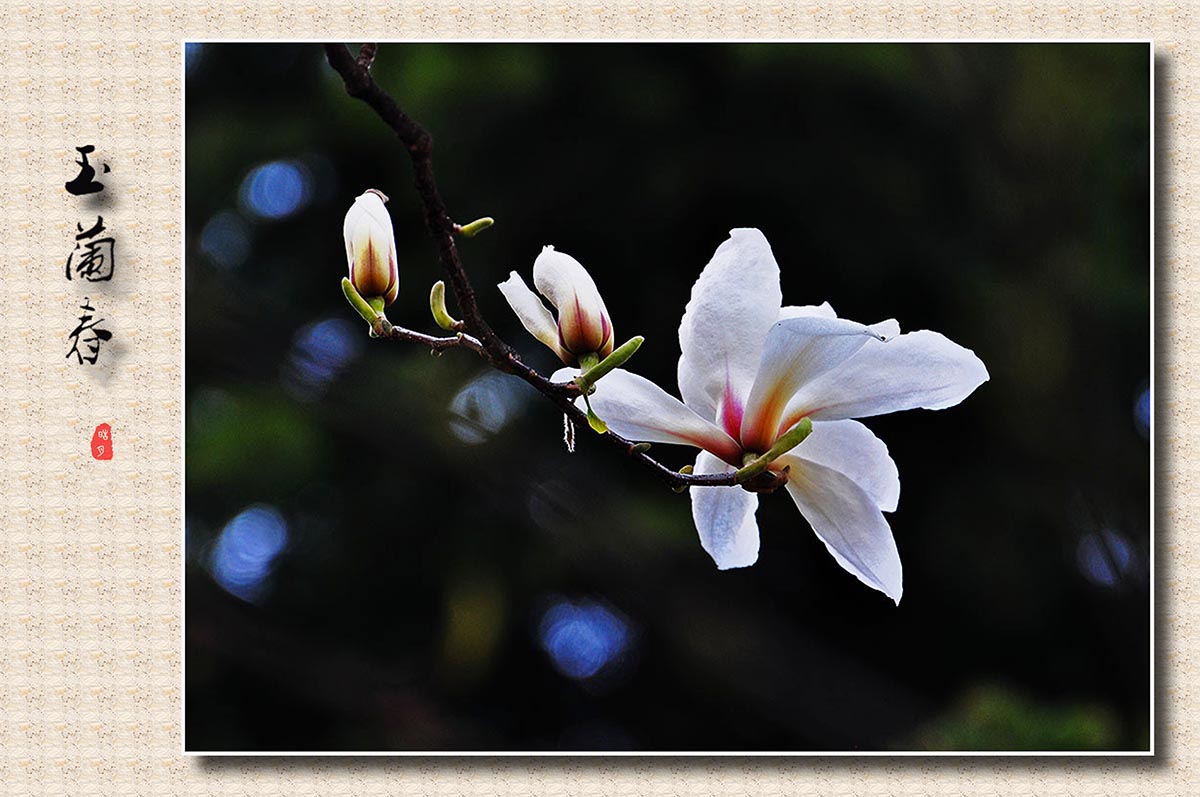 DSC_0623.jpg