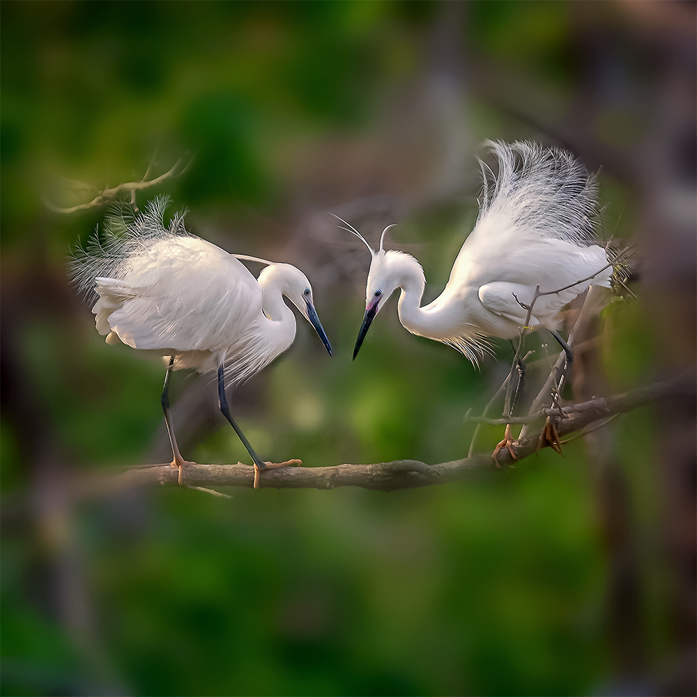 С���� (1).jpg