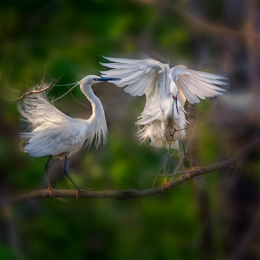 С���� (2).jpg