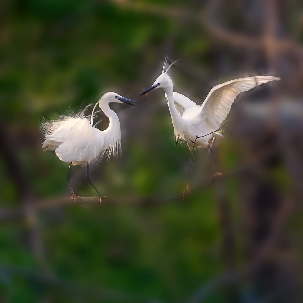 С���� (3).jpg