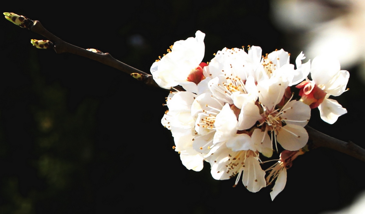 ���Ͽ���÷��  ������