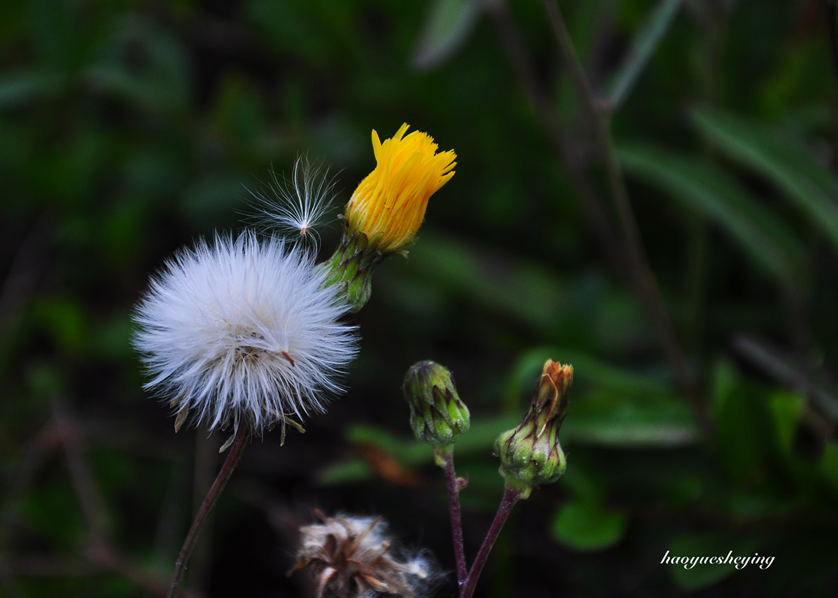 DSC_0319.jpg
