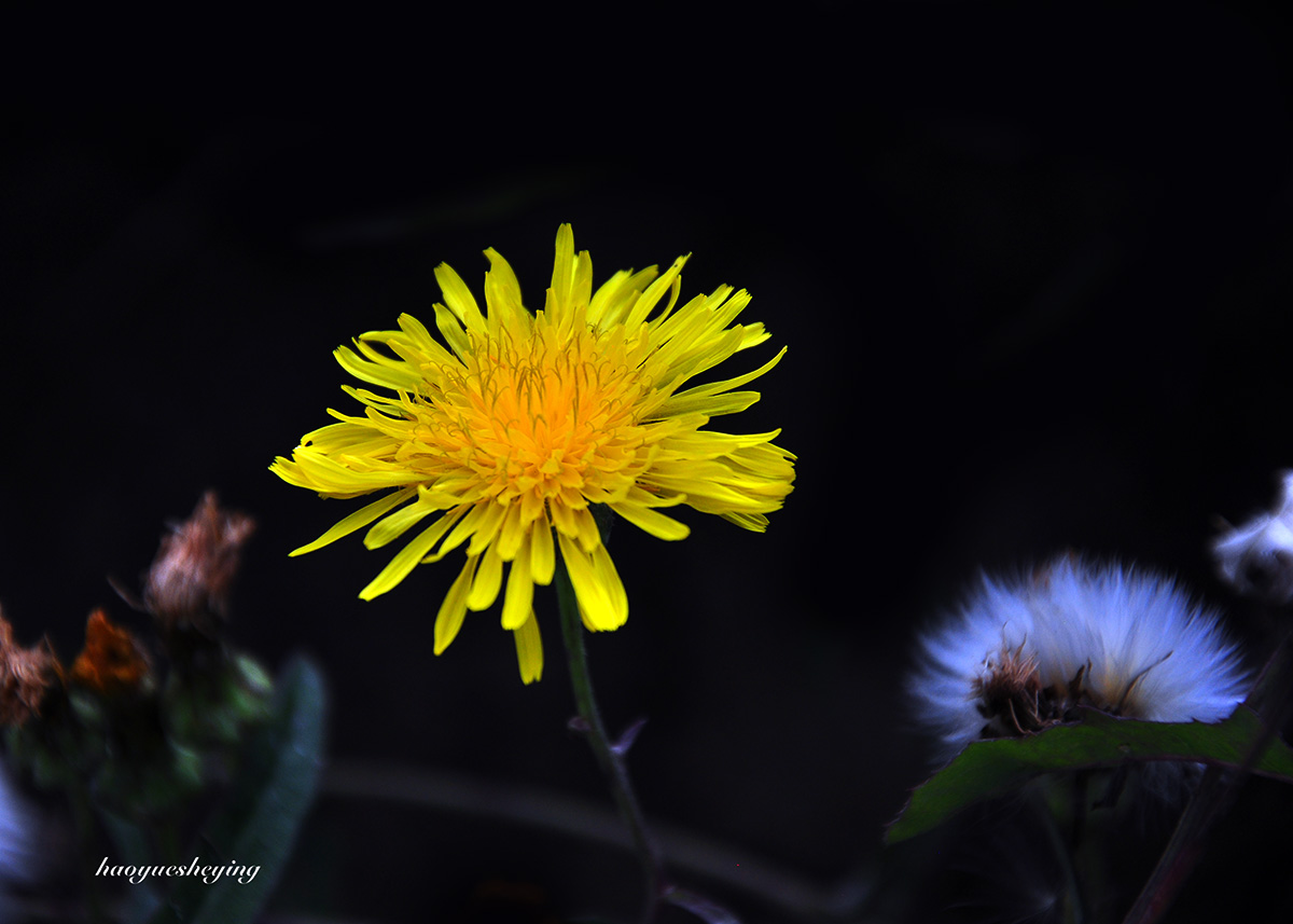DSC_0473.jpg
