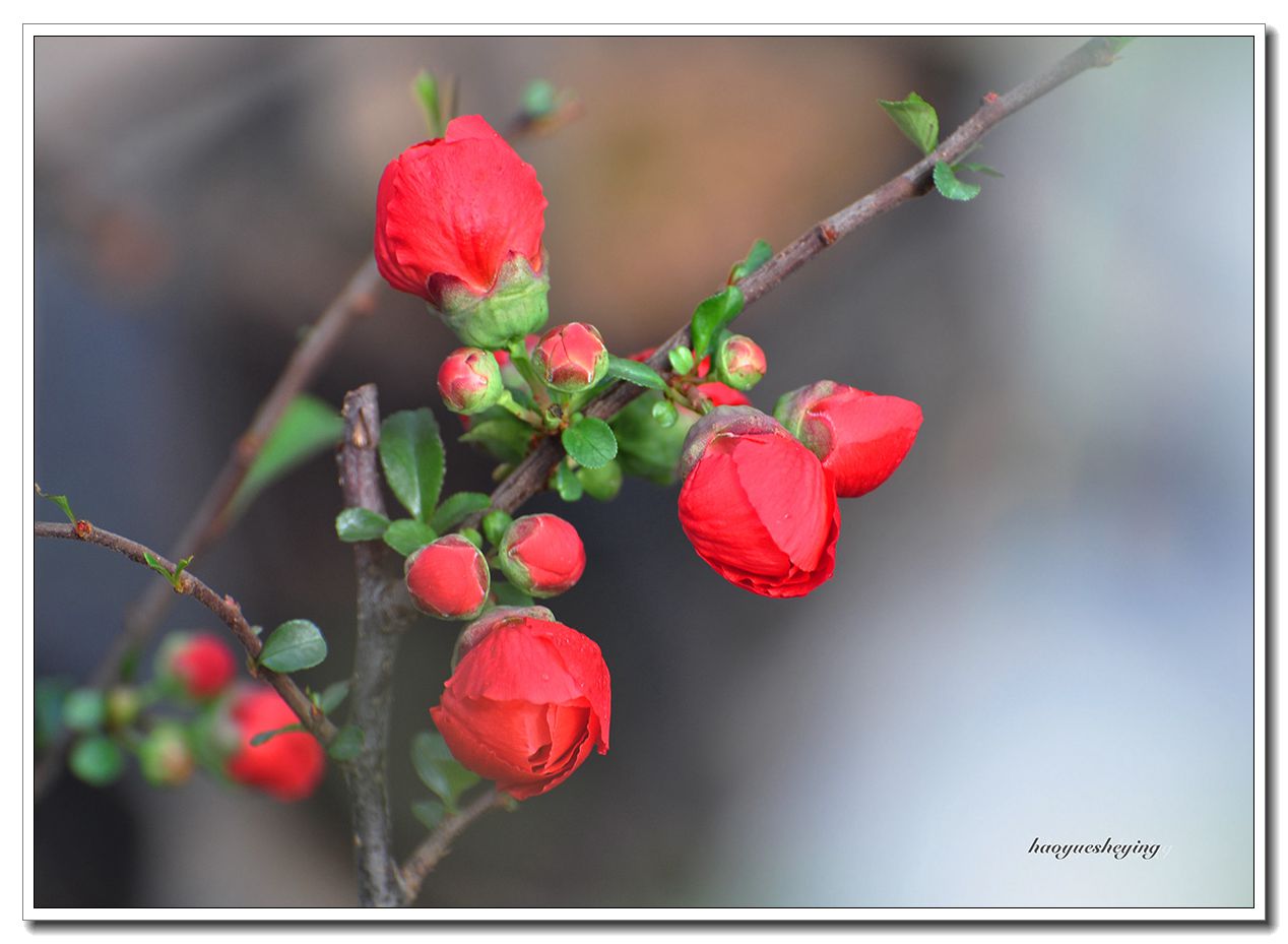DSC_1048.jpg