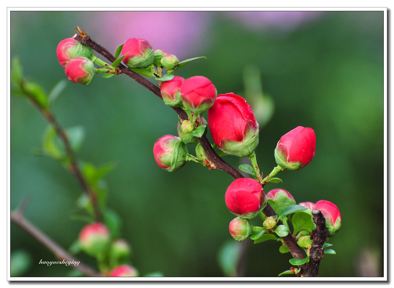 DSC_1058.jpg