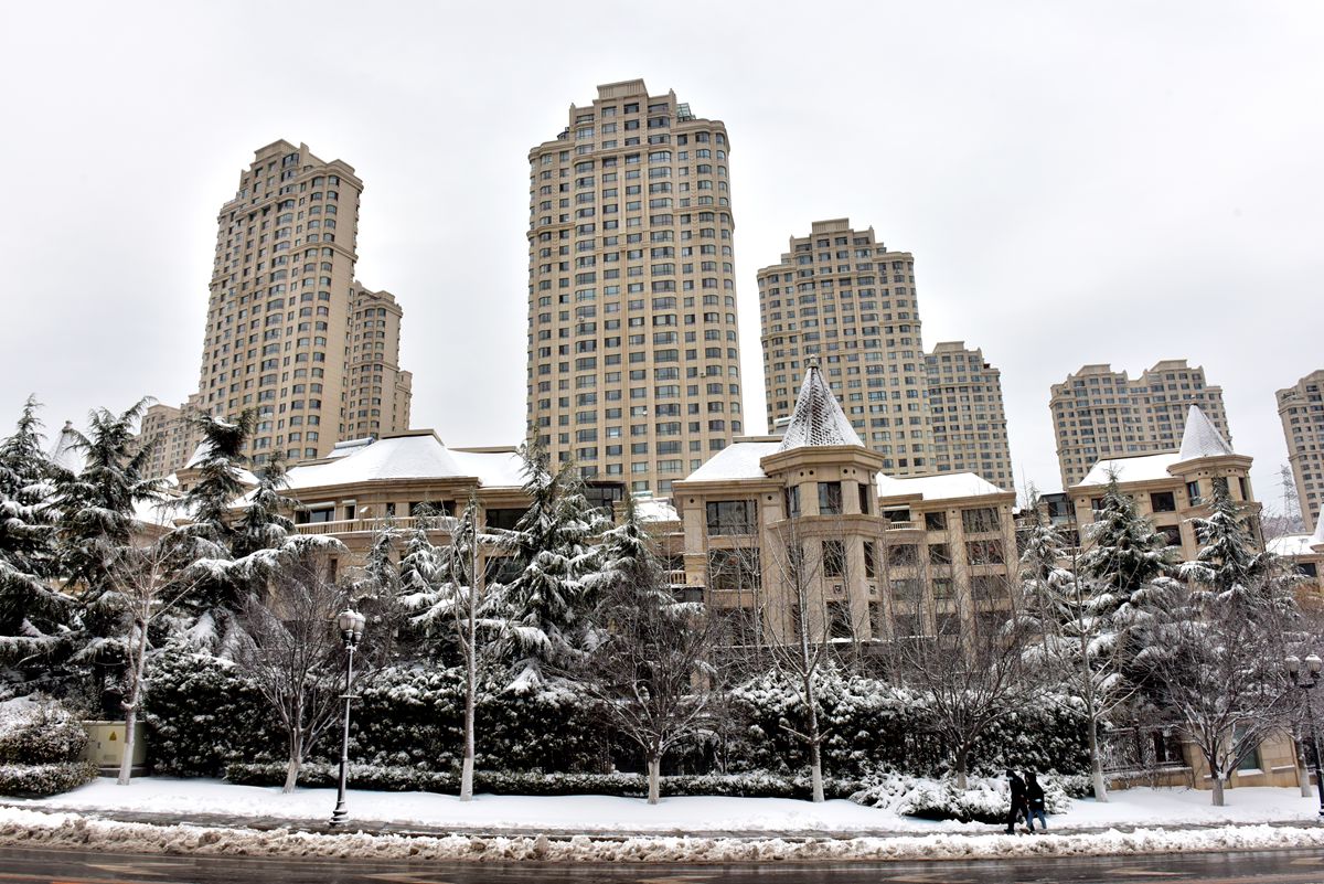 DSC_0459_.jpg