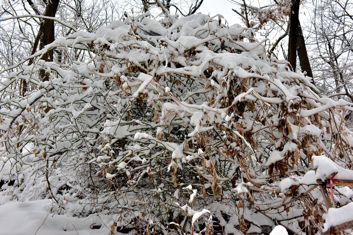 DSC_0526_.jpg
