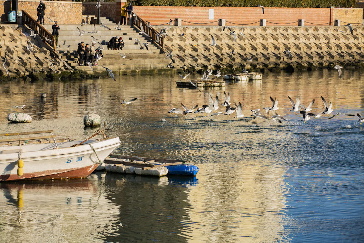 KQ8A0682-1-q.jpg