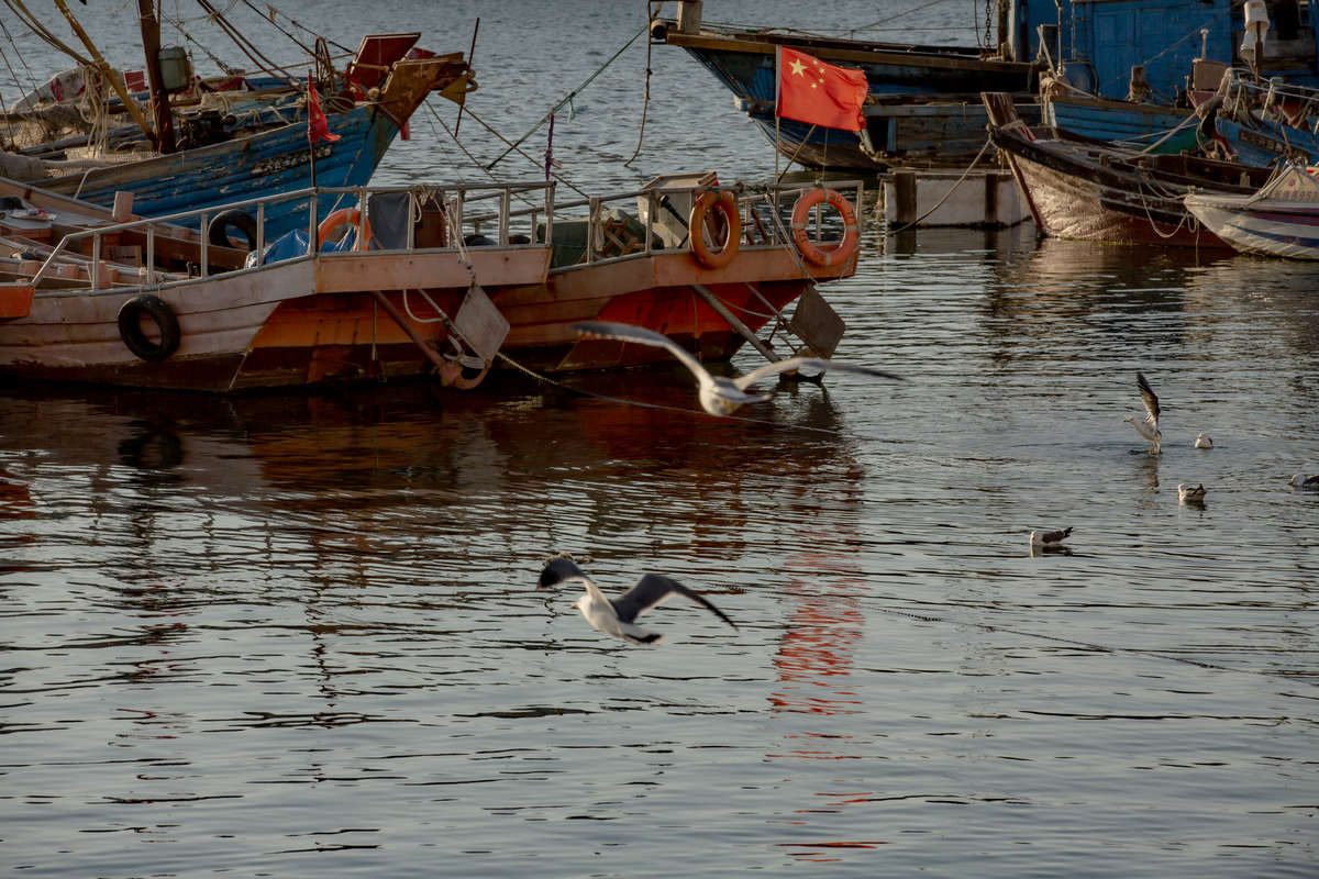 KQ8A1024-1-q.jpg