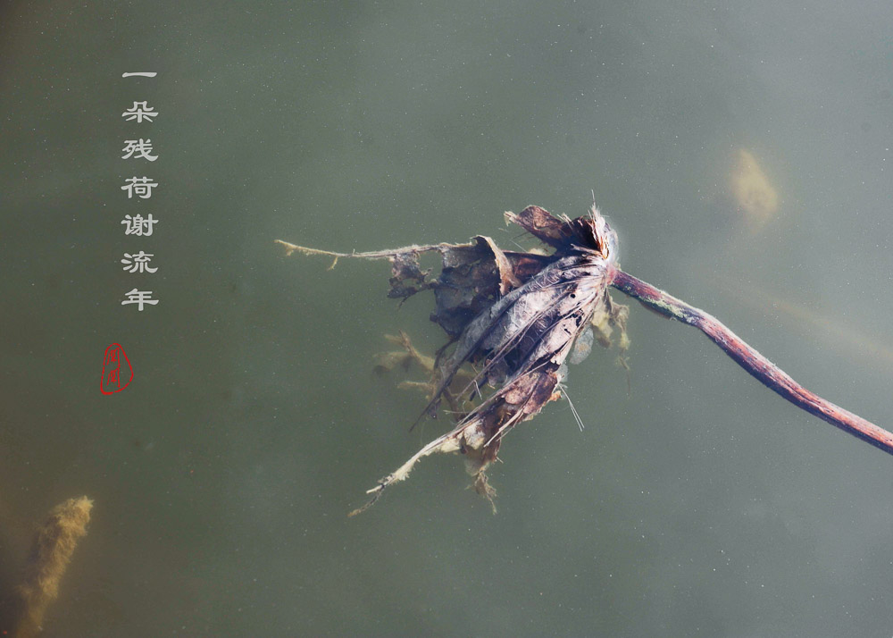 10054361.jpg