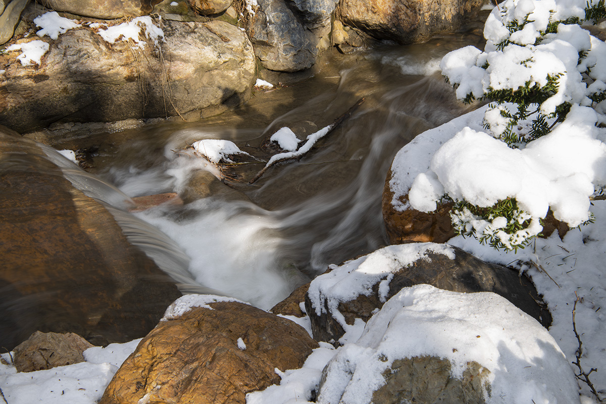 _DSC8677.jpg