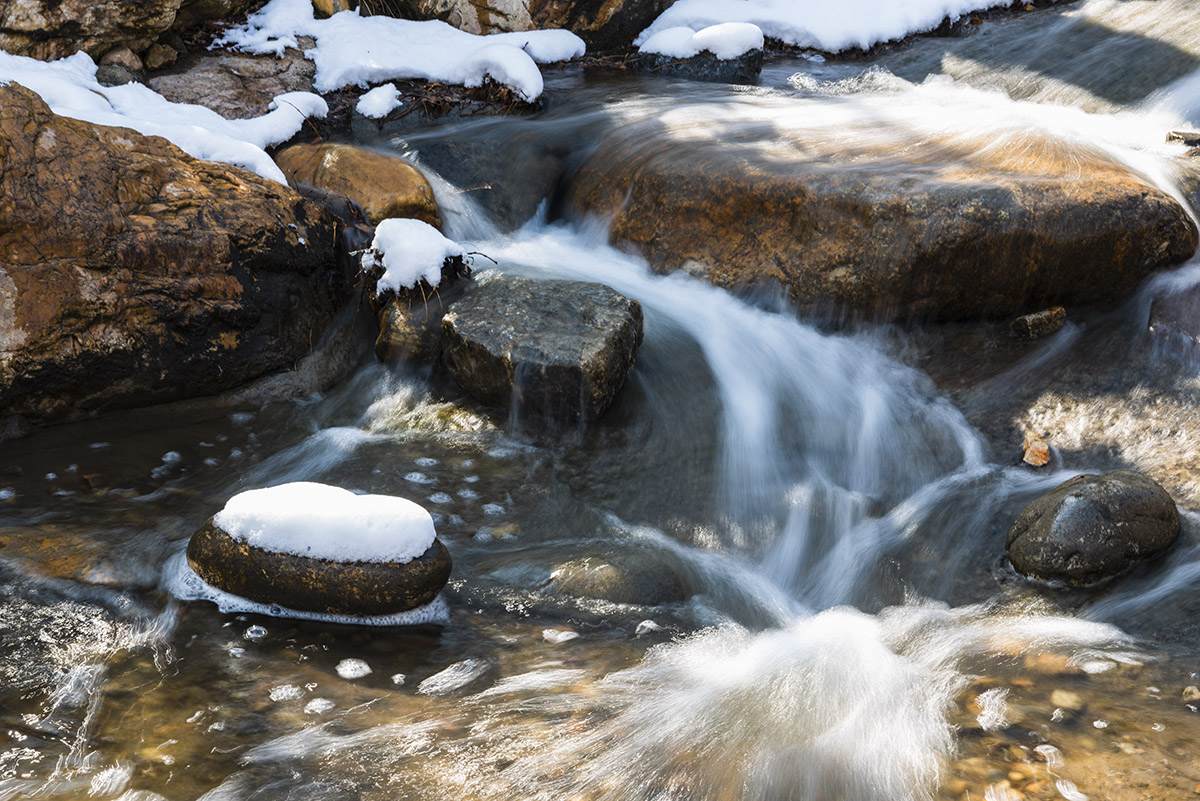_DSC8761-2.jpg