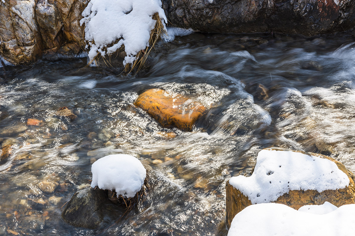 _DSC8771.jpg