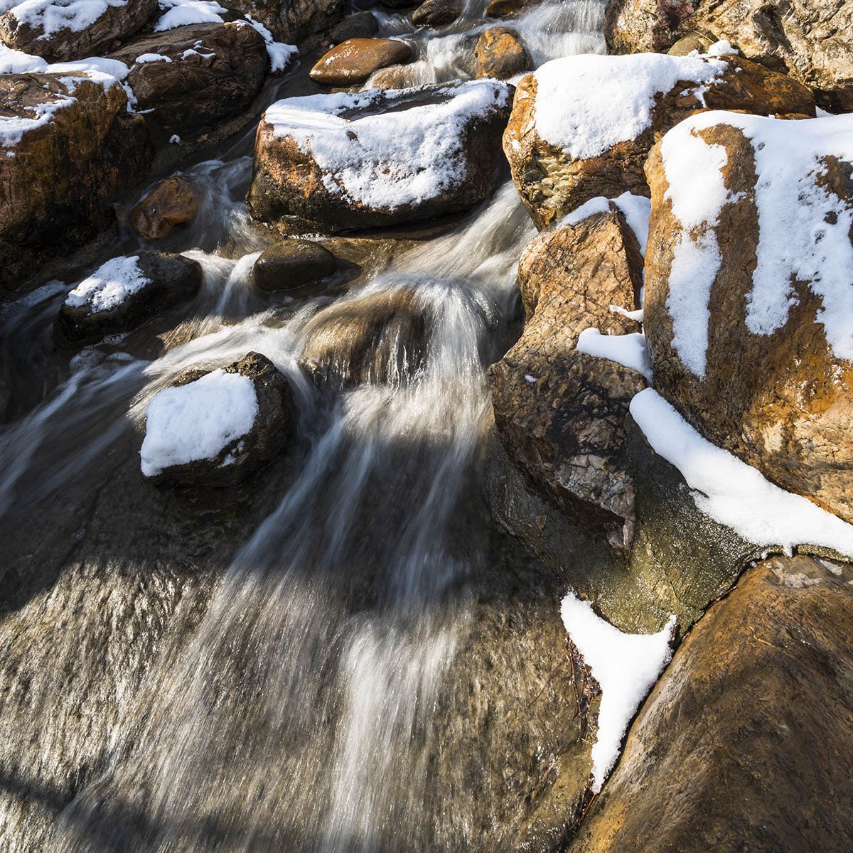 _DSC8741.jpg