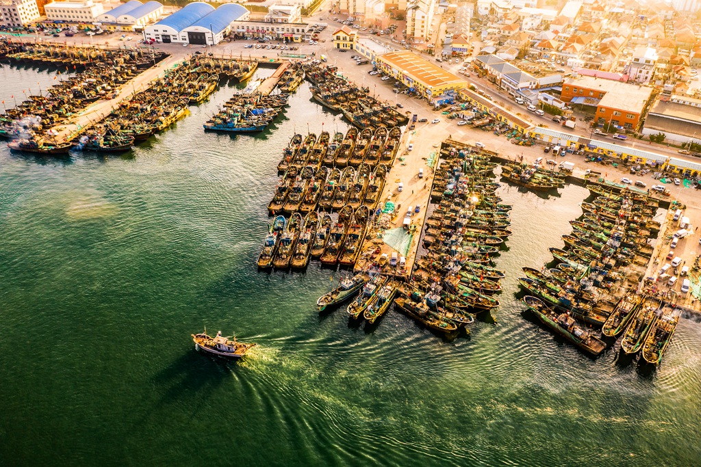 DJI_0542__.jpg