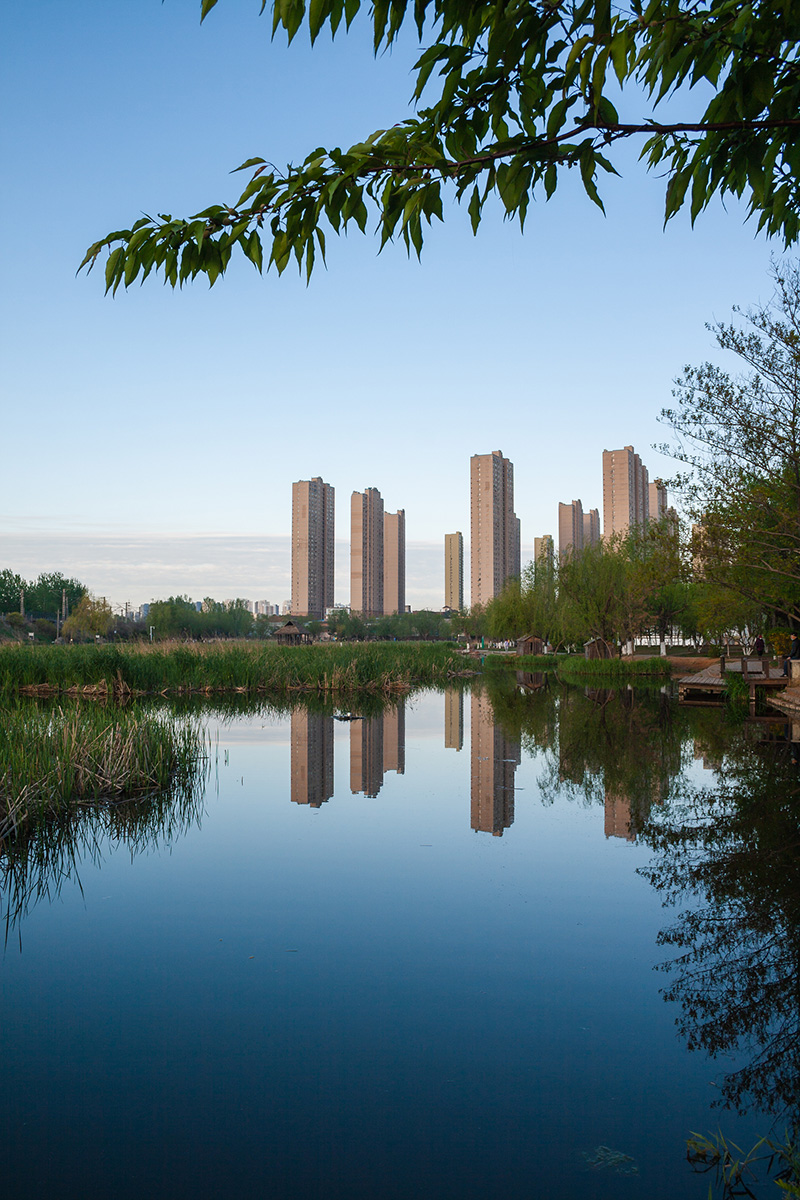 _MG_5910  2.jpg