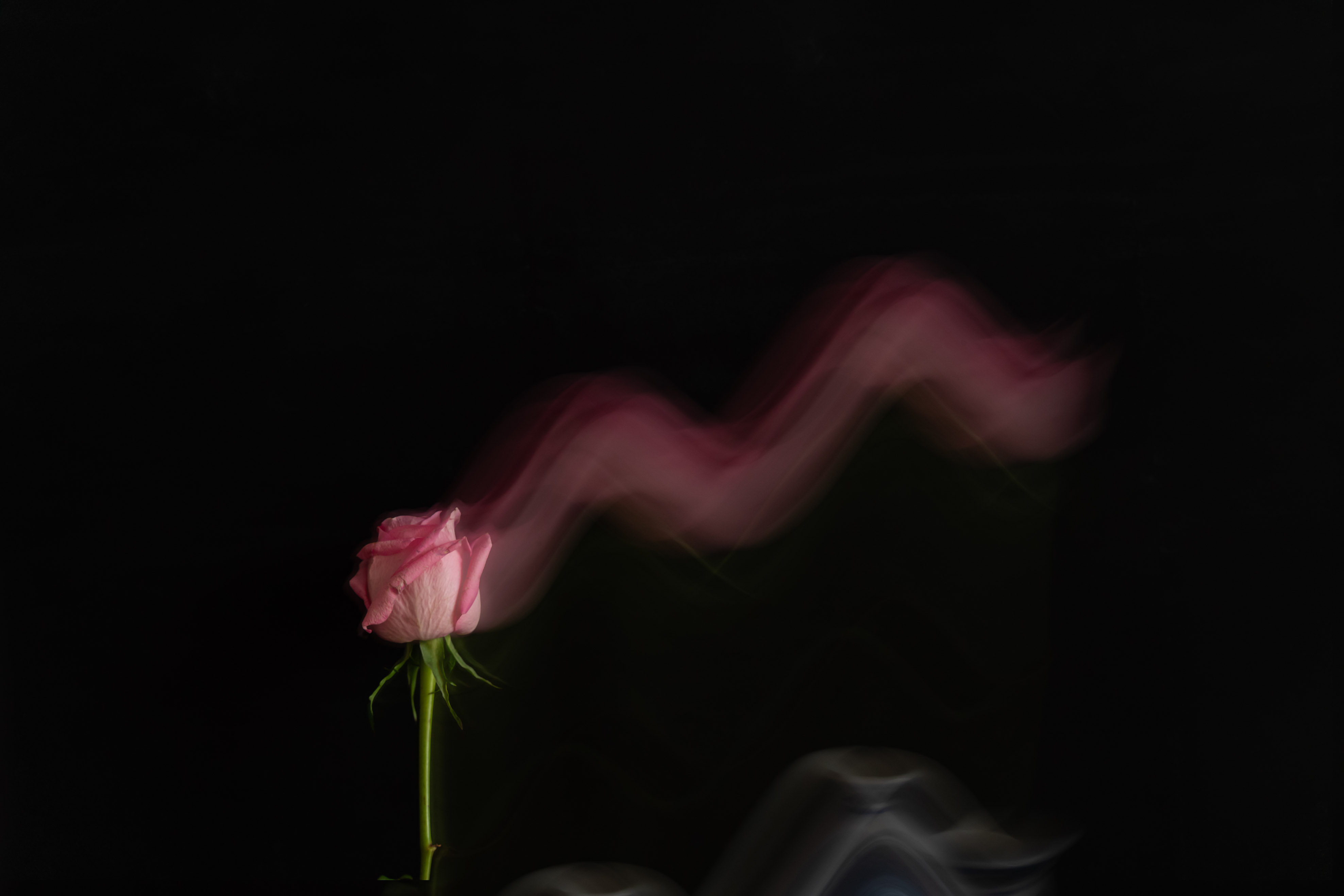 DSC07903 .jpg