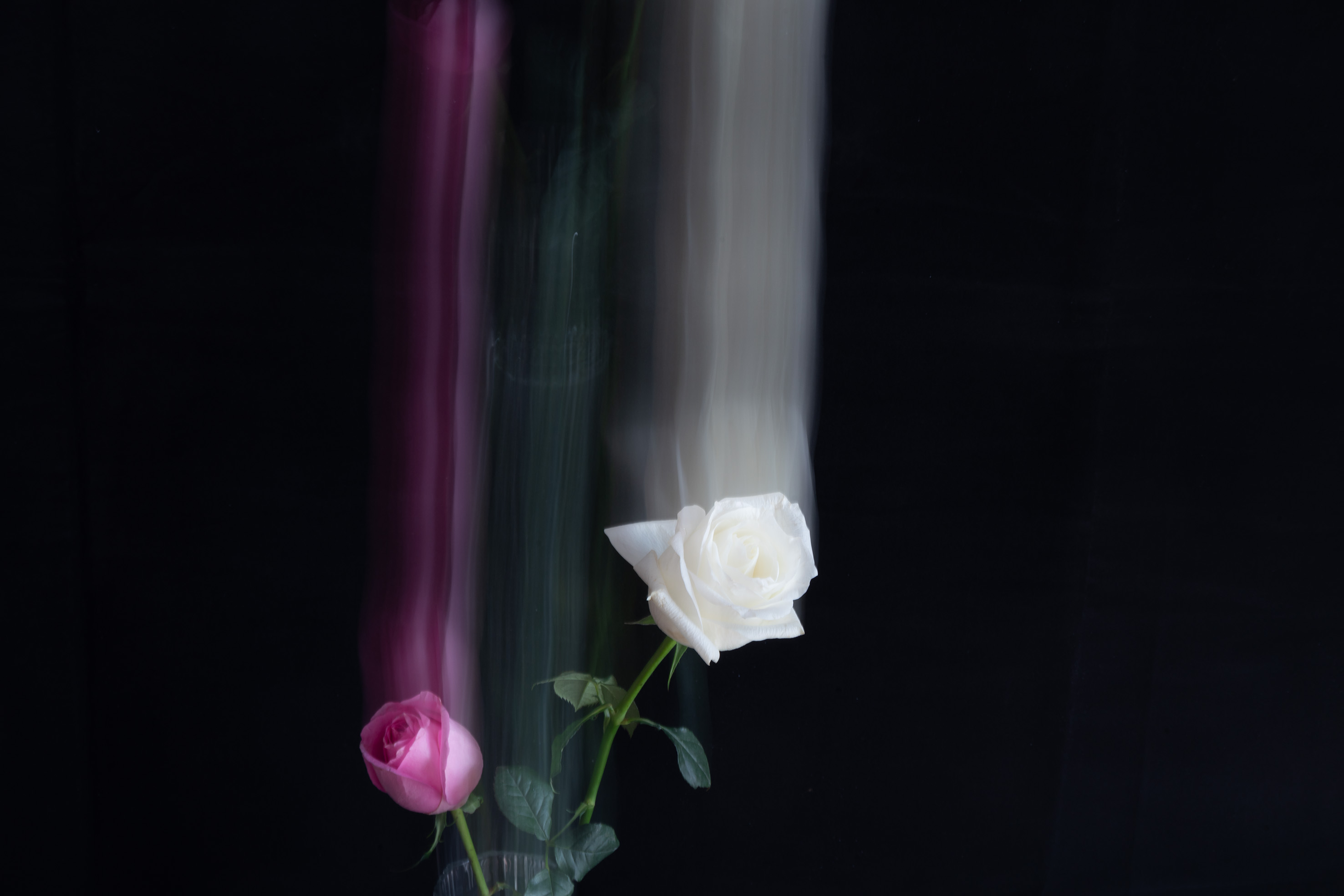 DSC08079 .jpg