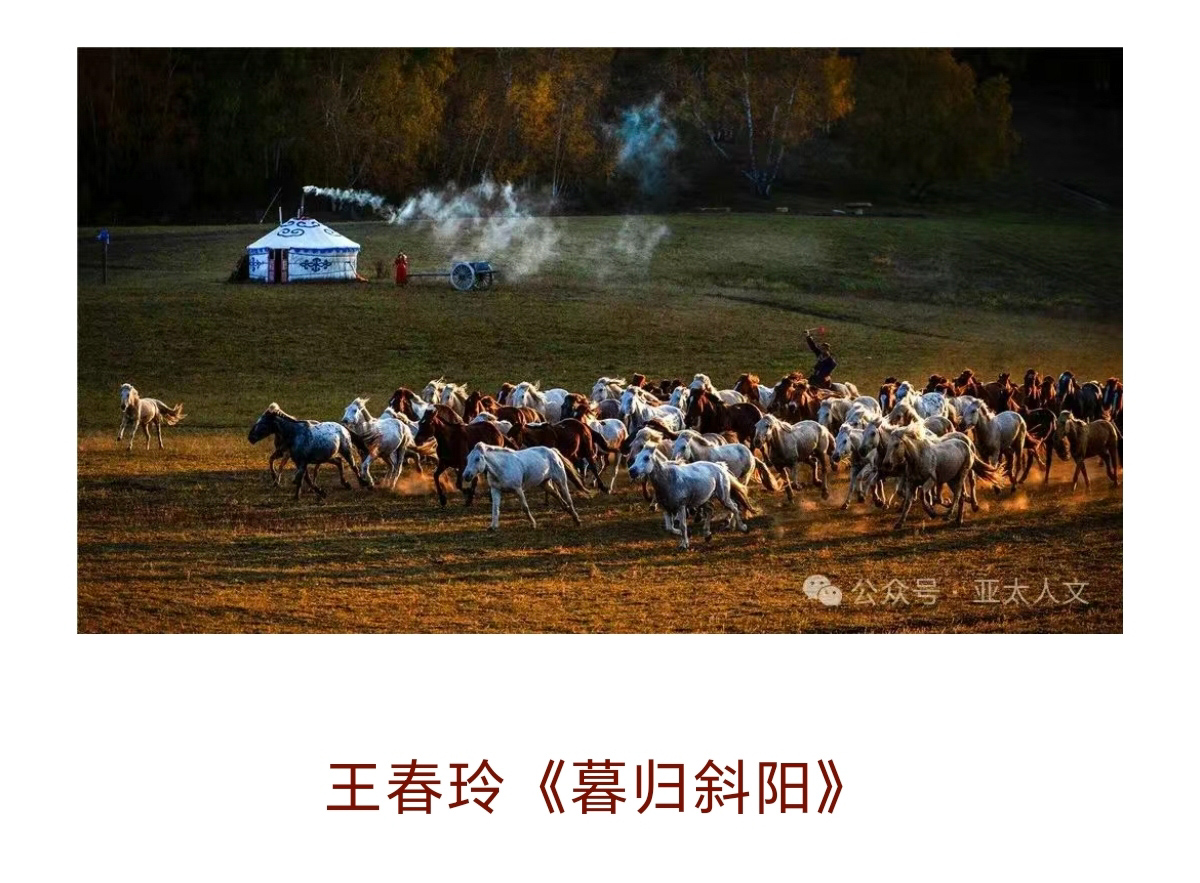 Screenshot_20250308_082817_com_tencent_mm_TmplWebViewMMUI.jpg