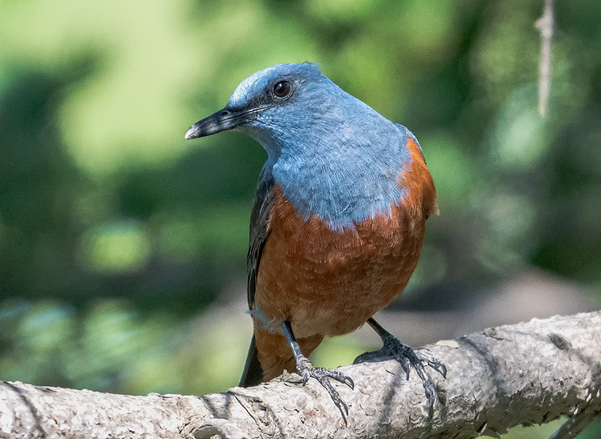 DSC_7740 .jpg