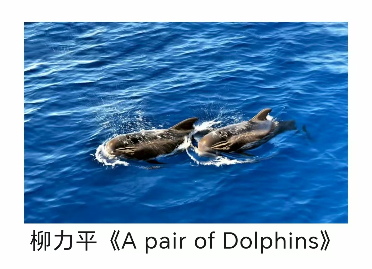 ΢ͼƬ_20250810171702.jpg