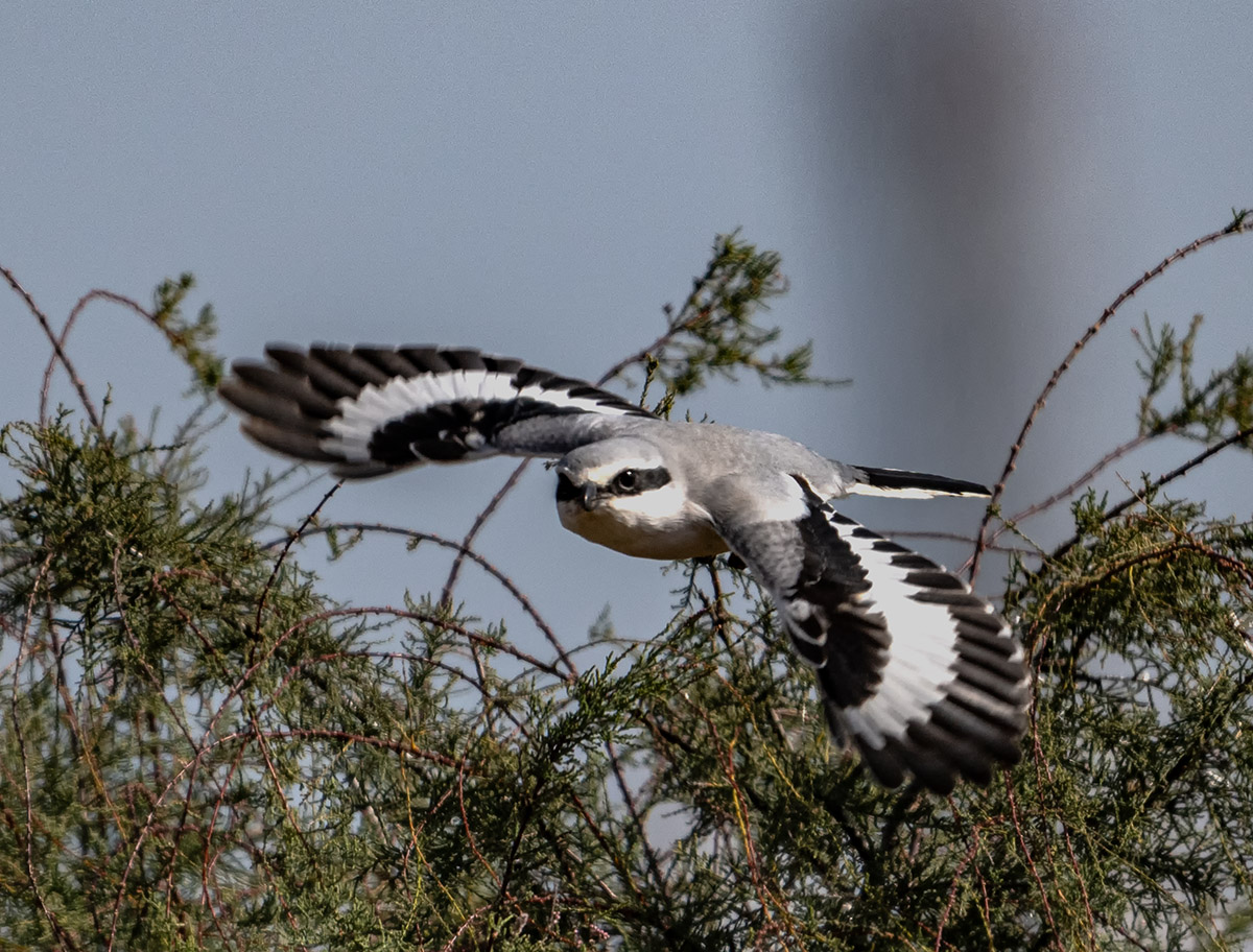 _DSC6727 ����.jpg