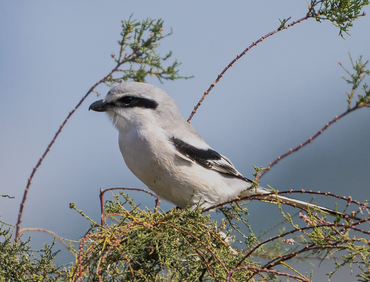 _DSC6712 ����.jpg