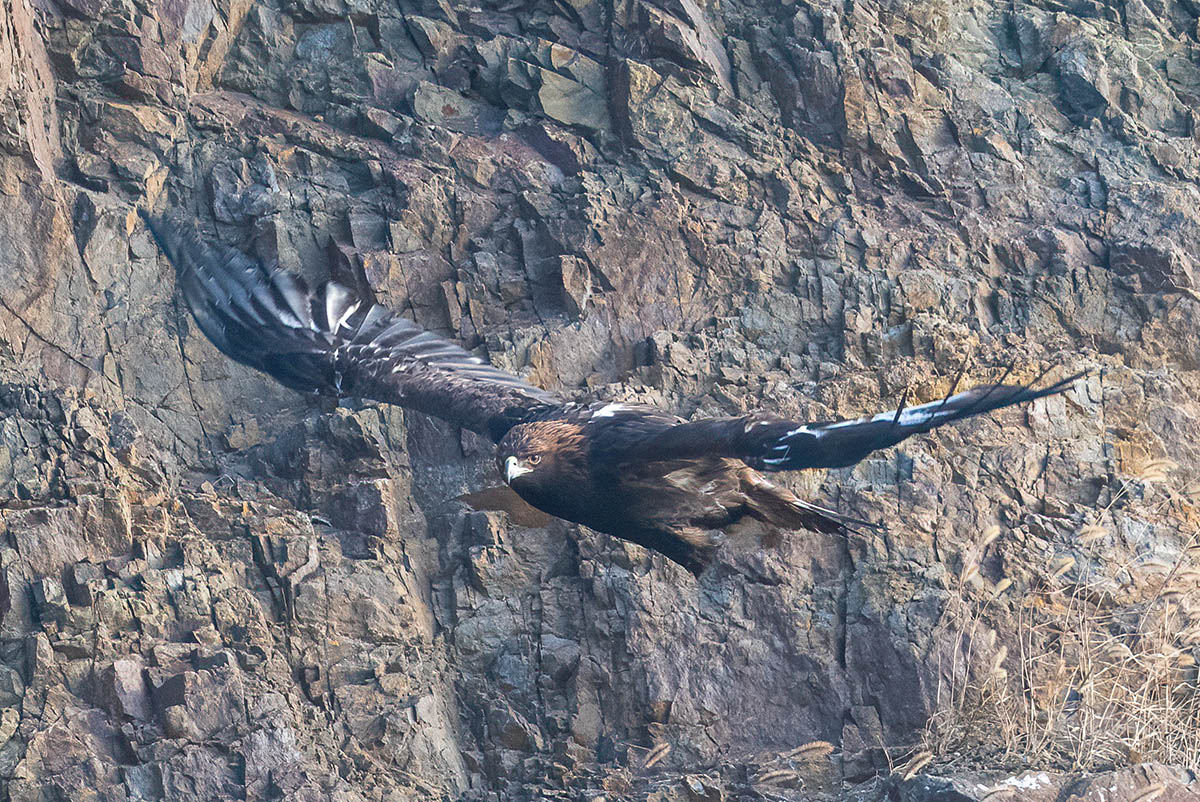 _DSC2208 ����.jpg