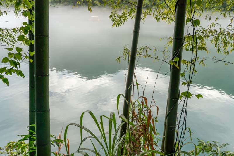 ������������ɴ