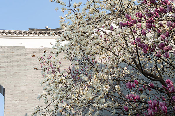 DSC08580 ���� 2.jpg