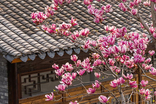 DSC08609 ���� 2.jpg