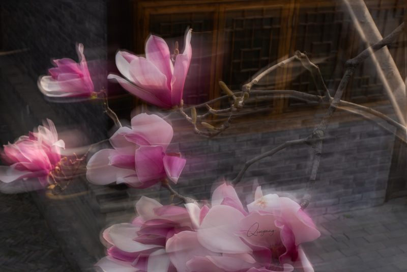 DSC08643 ����.jpg