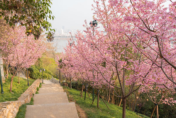 DSC08476 ���� 2.jpg