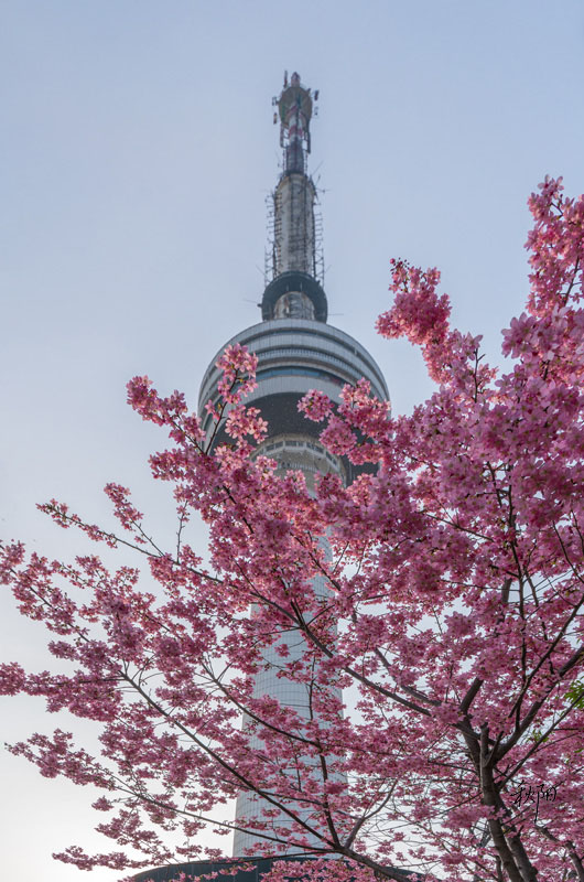 DSC08501-2 ���� 2.jpg