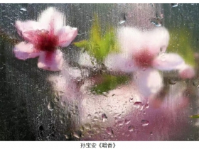 AIP���޹�����Ӱ����2025��ȴ���������