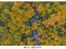 AIP���޹�����Ӱ����2025��ȴ���������