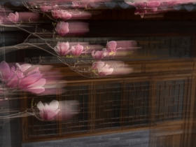 ҡ��������