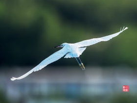 ���η���İ���