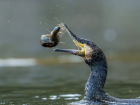 ���Ϸ����